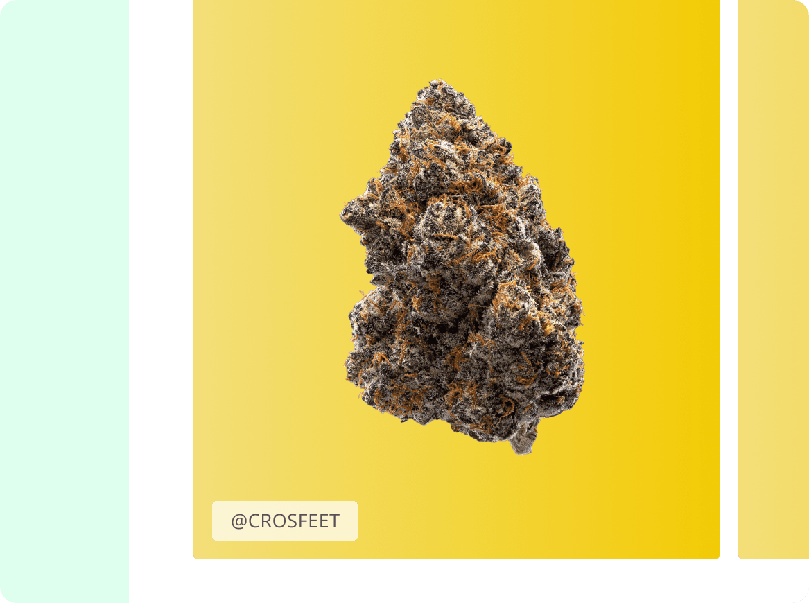 Image credit on every cultivar photo you upload to the platform