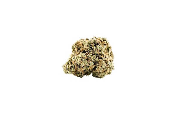 Cultivar cover image