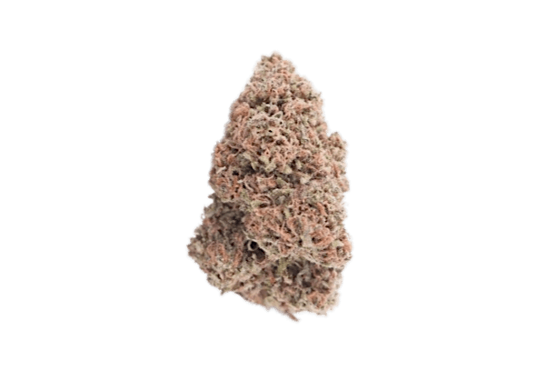 Mango strain image