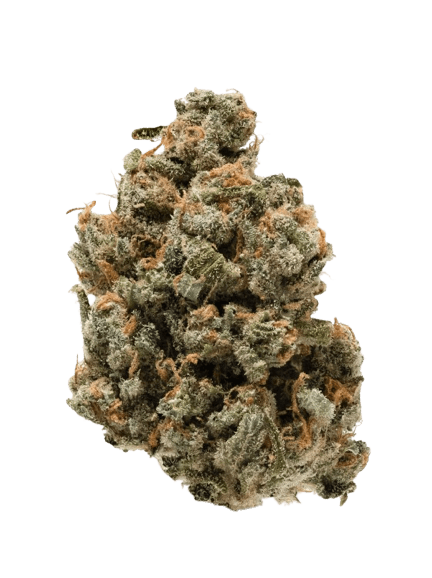Jack Herer strain image