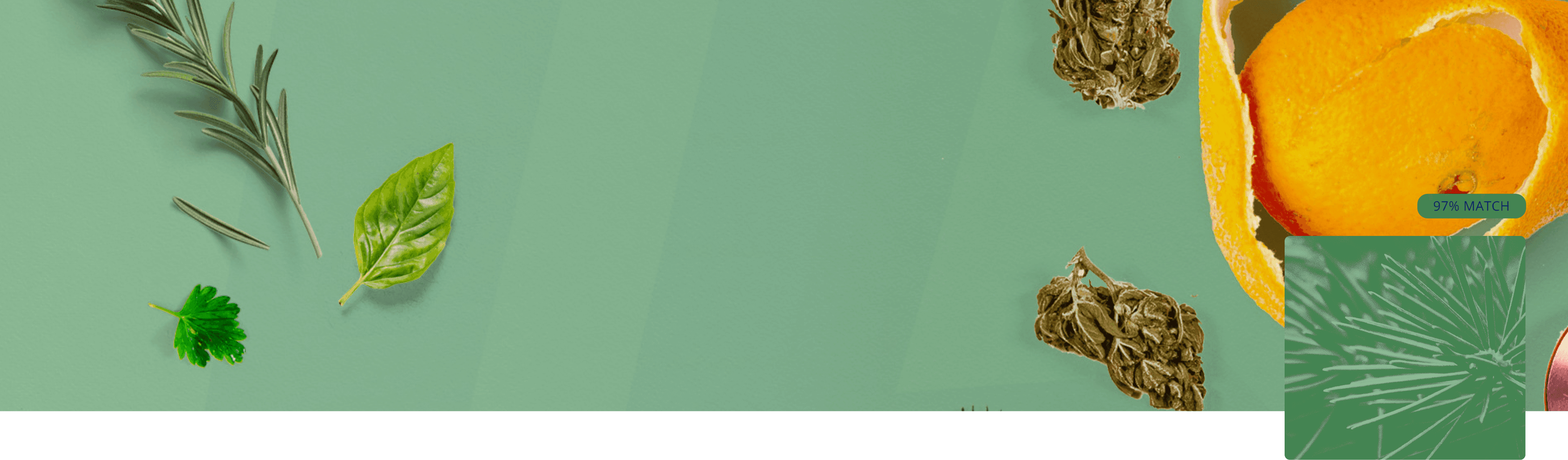 Pinene terpene cover
