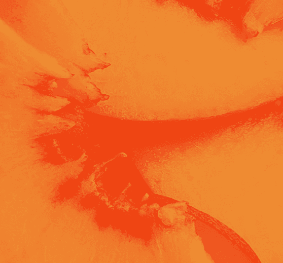 Peach collection cover