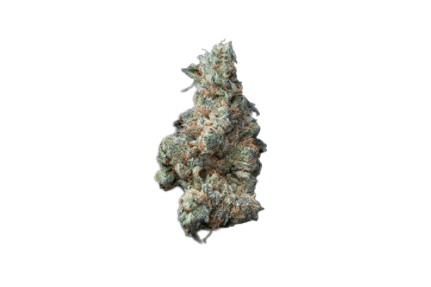 Banana Cookies strain image