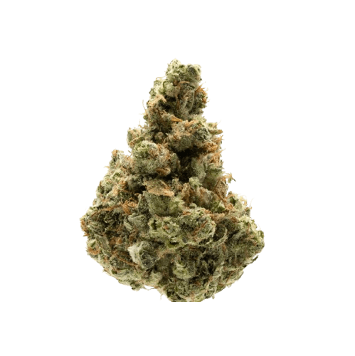 Chem 91 strain image