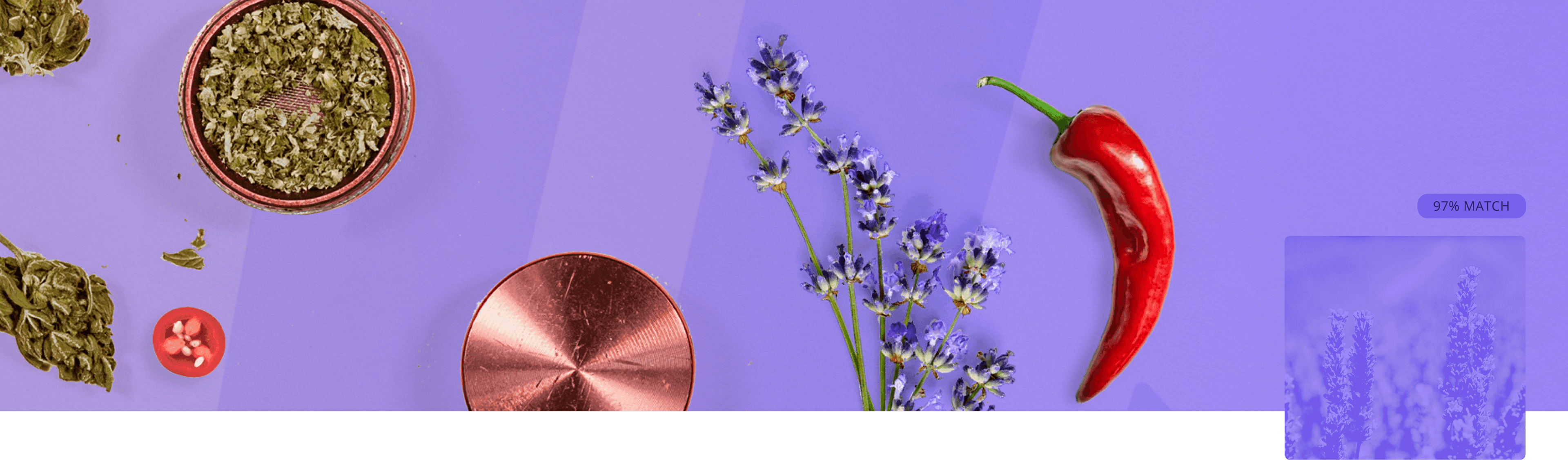 Linalool terpene cover