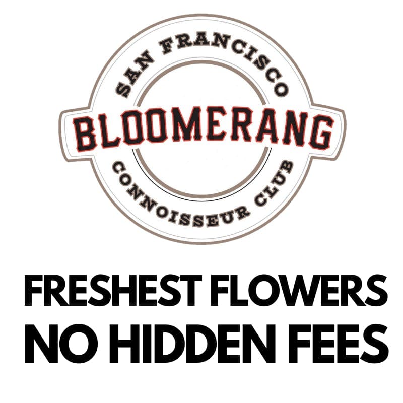 Dispensary logo
