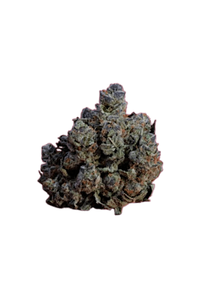 Blue Widow strain image