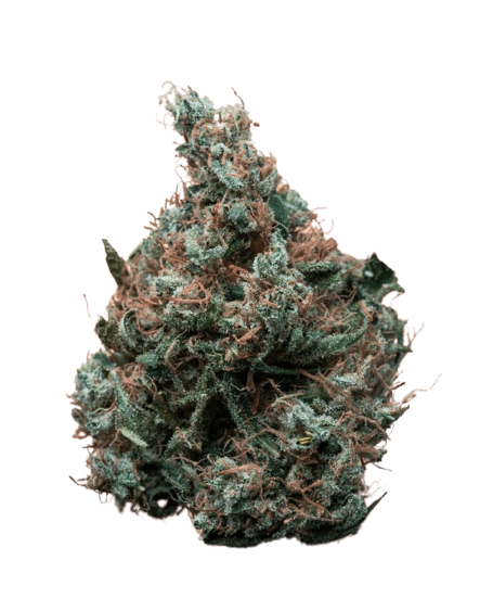 Cultivar cover image