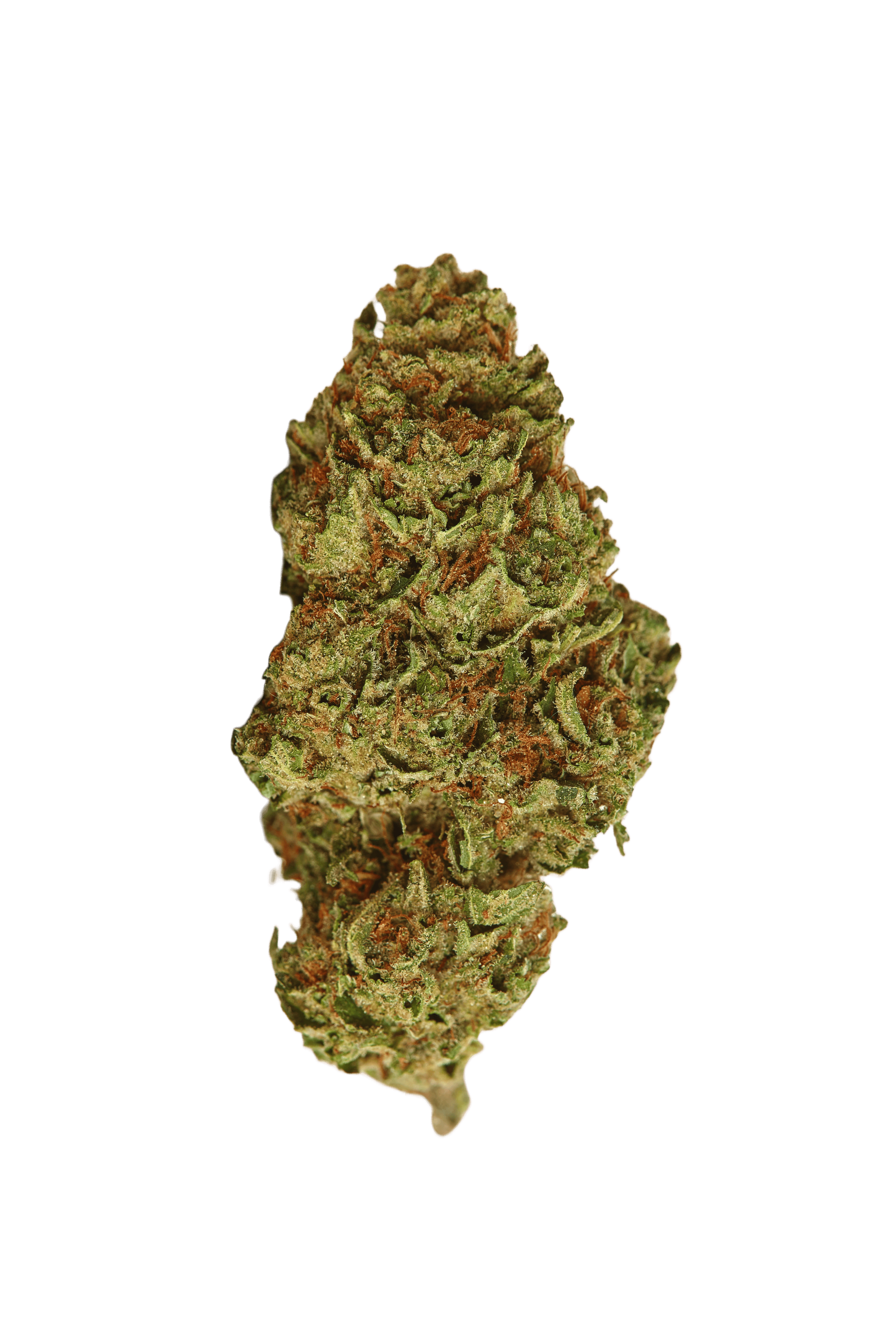 King Louis strain image