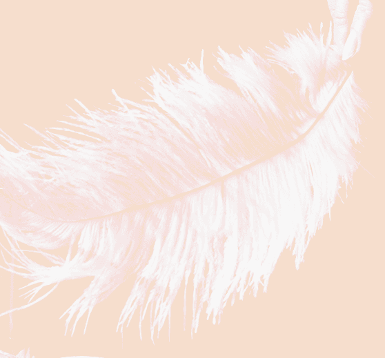 Tingly collection cover