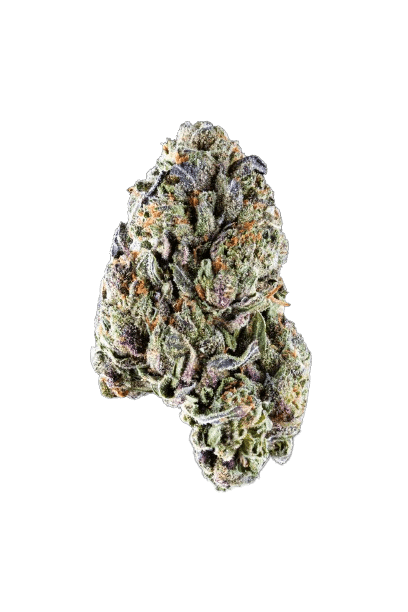 Runtz strain image