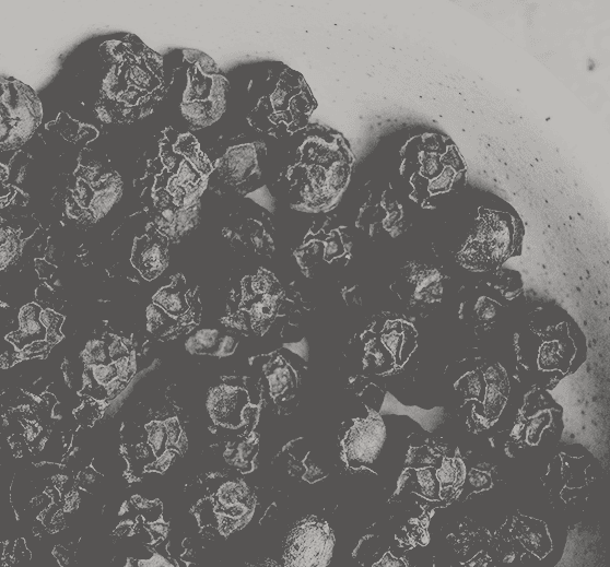 Pepper collection cover