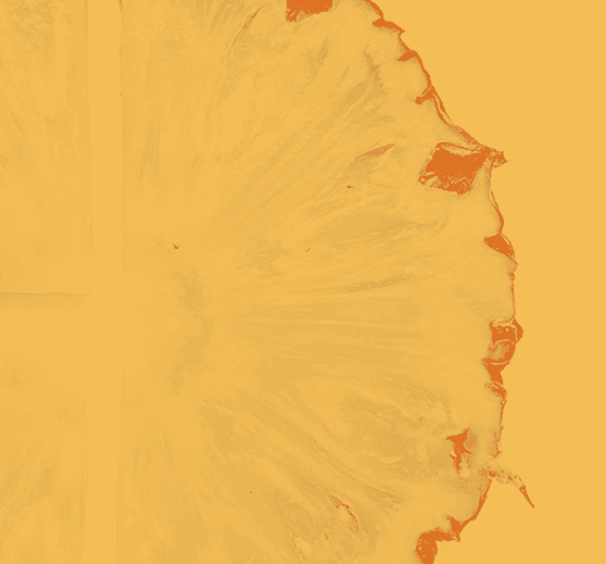Pineapple collection cover