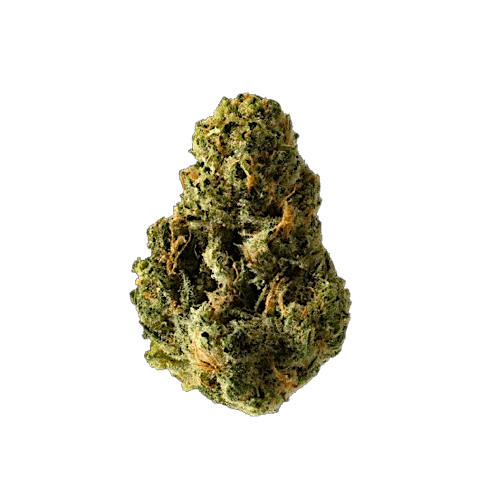 Cultivar cover image