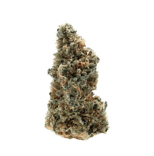 Green Ribbon strain image