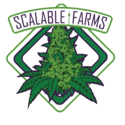 Dispensary logo