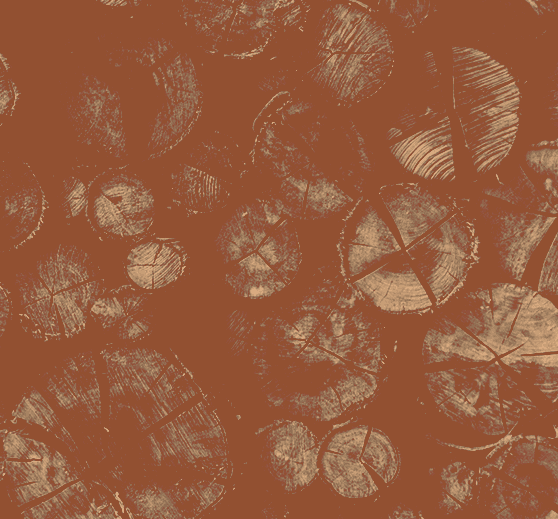 Woody collection cover