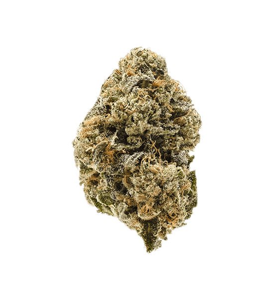 Sugar Cookies strain image