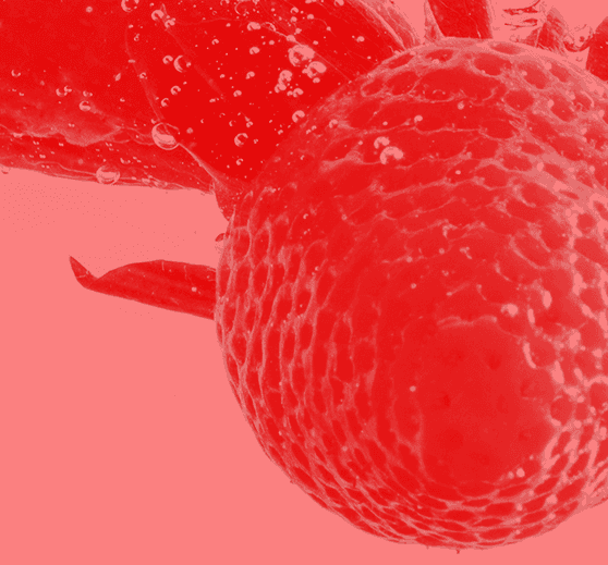 Strawberry collection cover