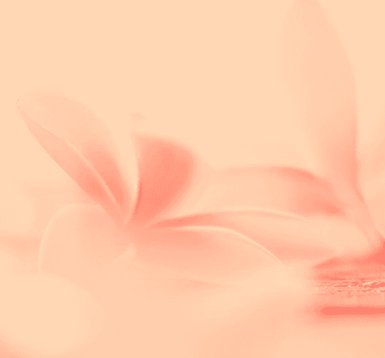 Vanilla collection cover