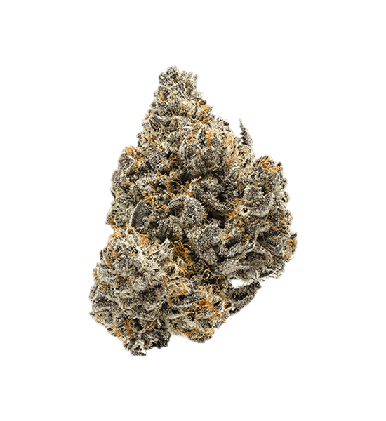 White Buffalo strain image