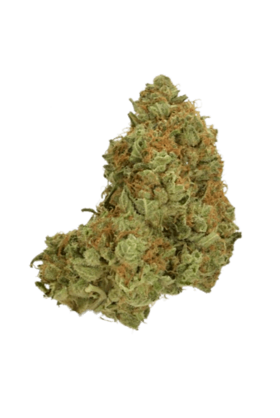 GSC strain image