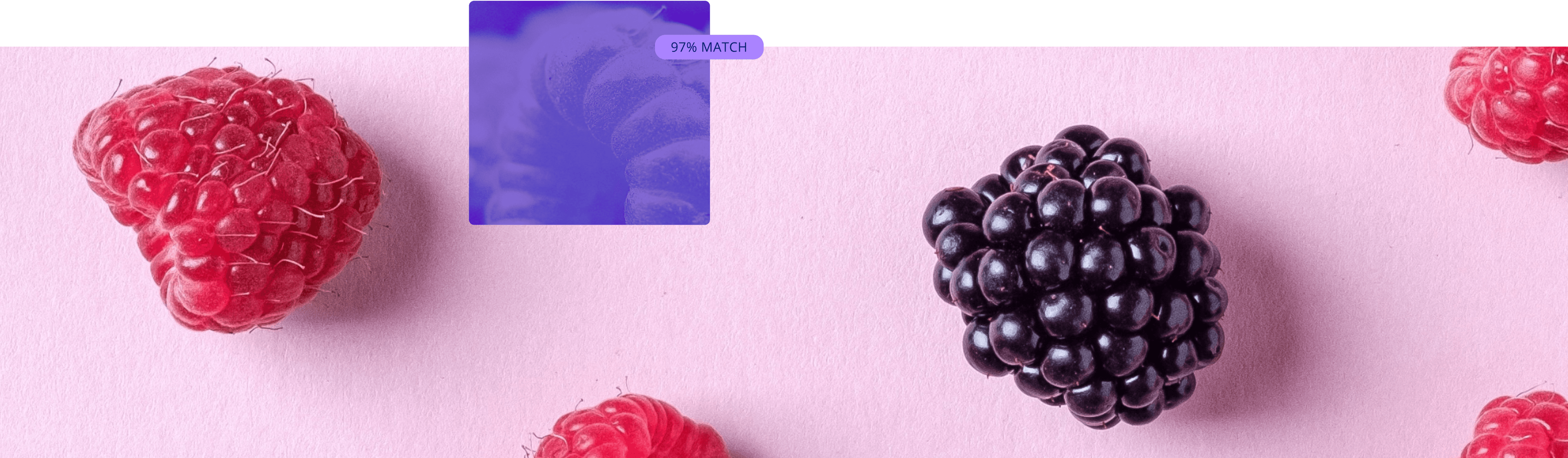 Berry collection cover