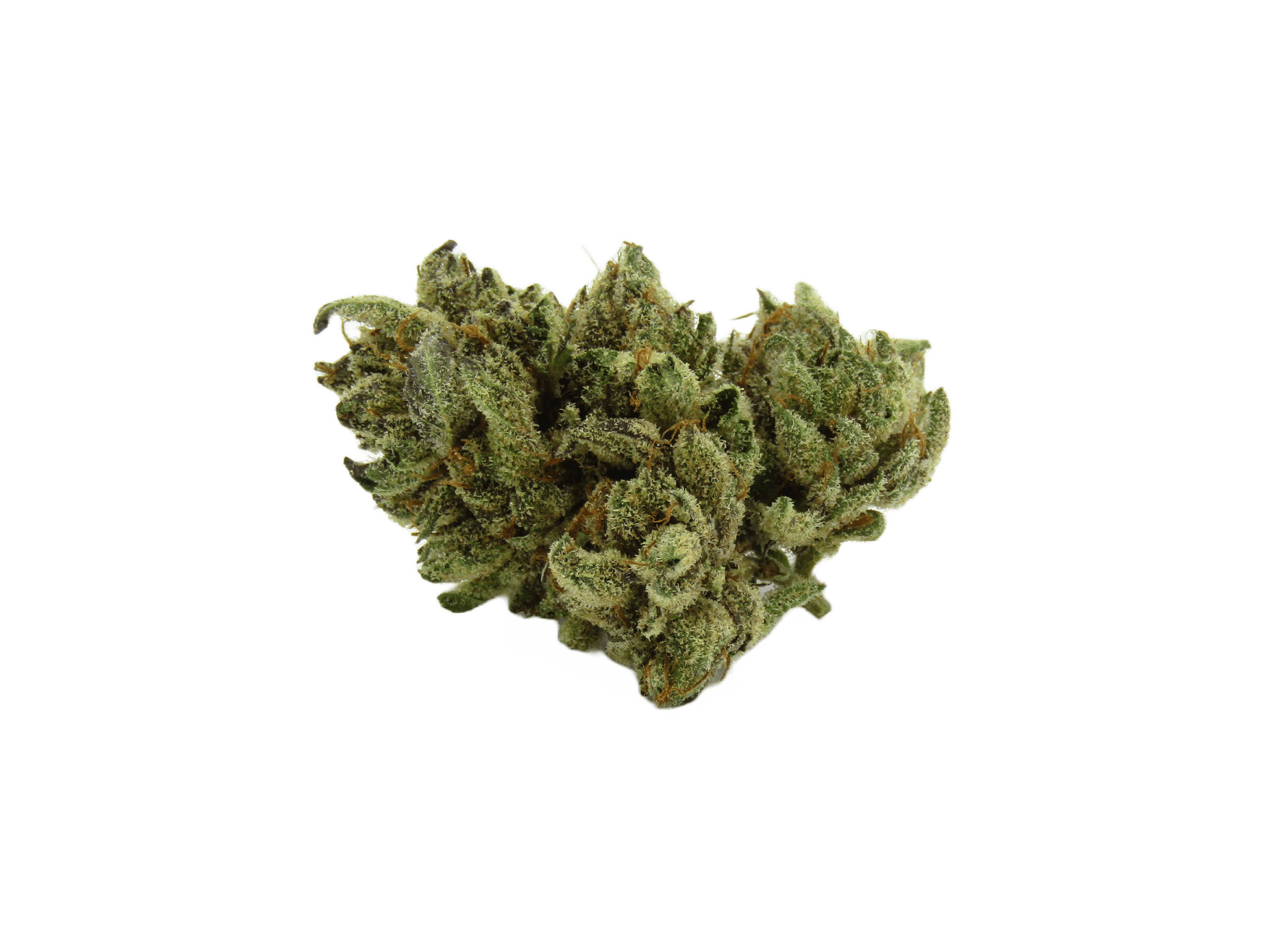 Pre-98 Bubba Kush strain image
