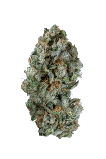 Sweet Kushbomb strain image