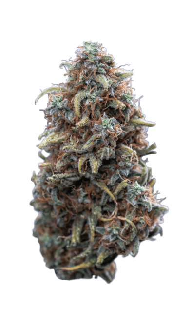 Lilac Diesel strain image