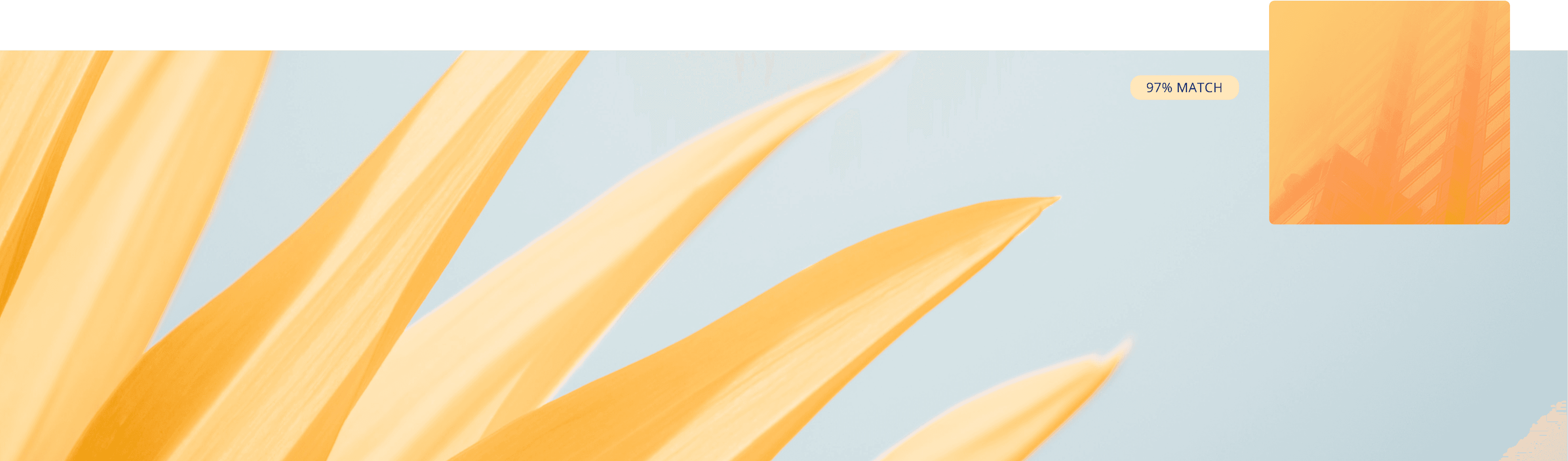 Uplifted collection cover