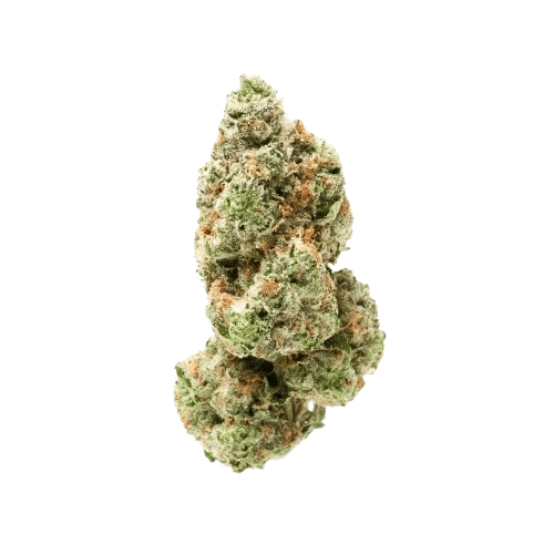 God's Gift strain image
