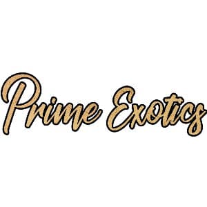 Dispensary logo
