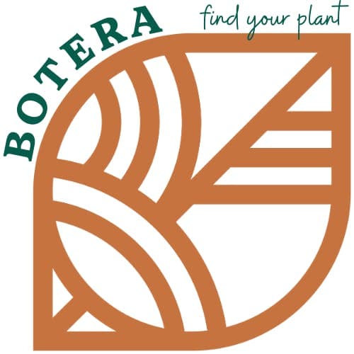 Dispensary logo