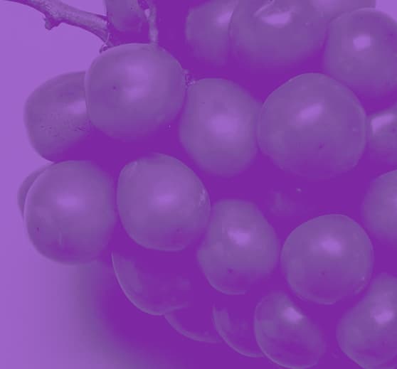 Grape collection cover