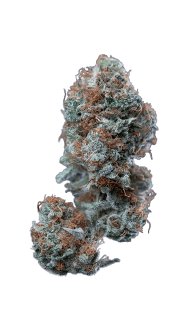 Cultivar cover image