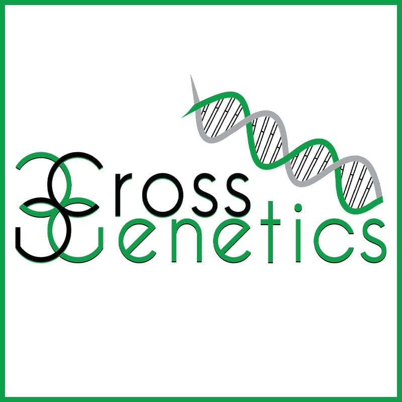 Dispensary logo