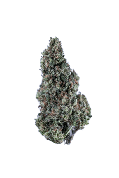 Cherry Pie strain image