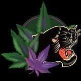 Dispensary logo