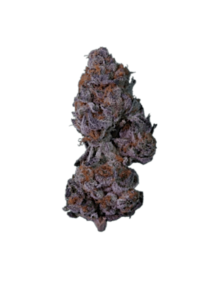 Animal Cookies strain image