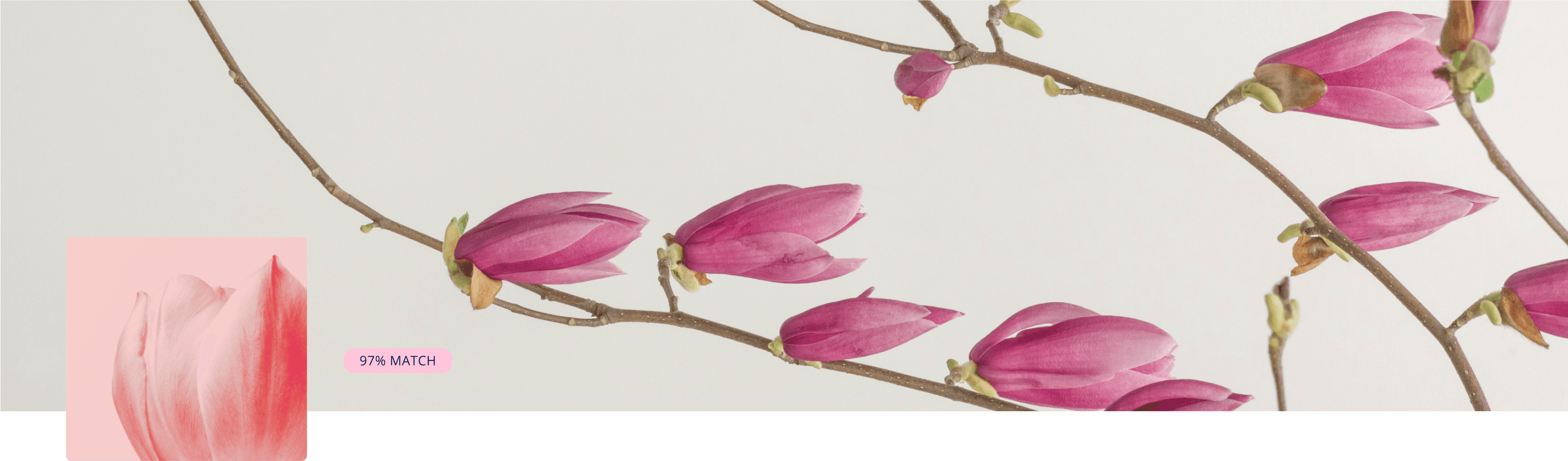 Flowery collection cover