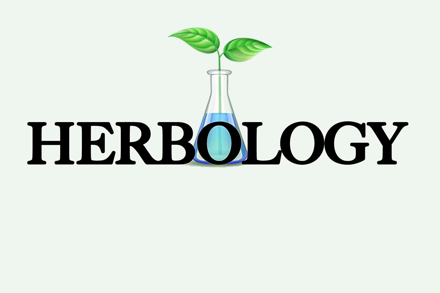 Dispensary logo