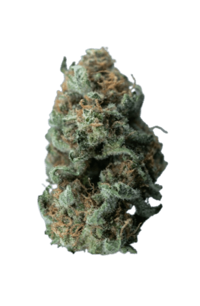 DJ Short Blueberry strain image