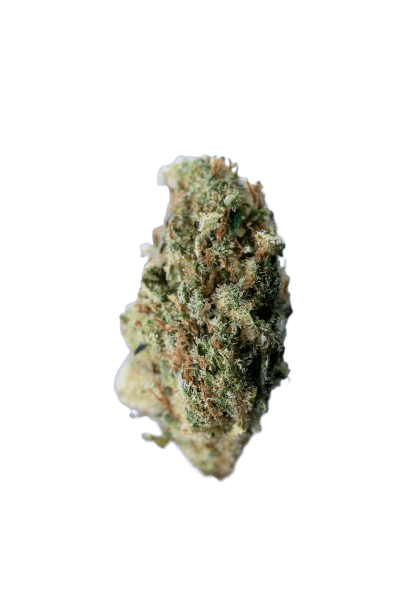 RudeBoi OG strain image