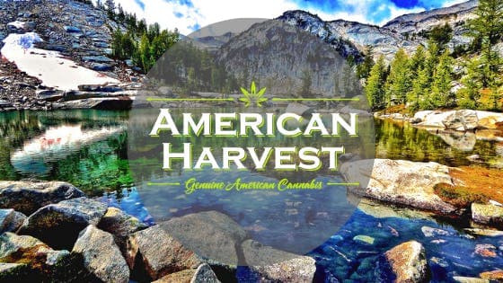 Dispensary logo