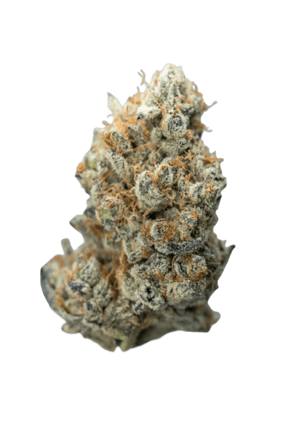 Point Break strain image