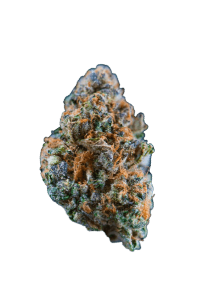Forum Cut Cookies strain image