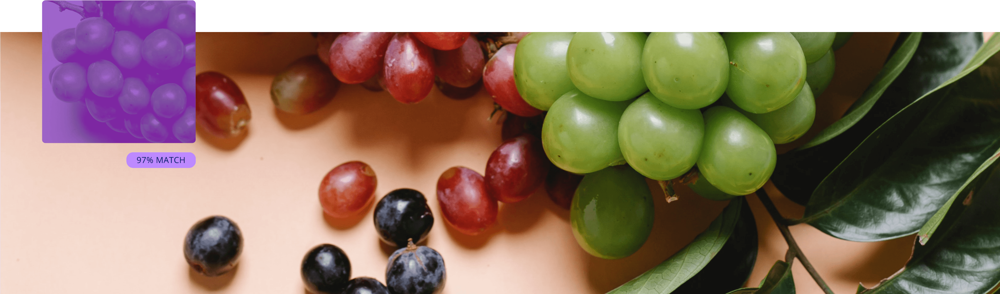 Grape collection cover