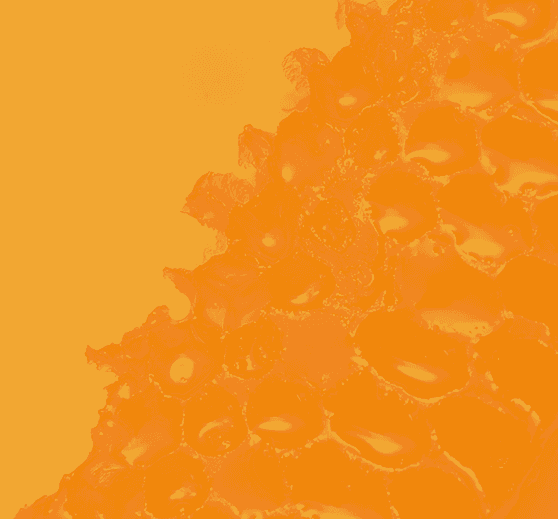 Honey collection cover