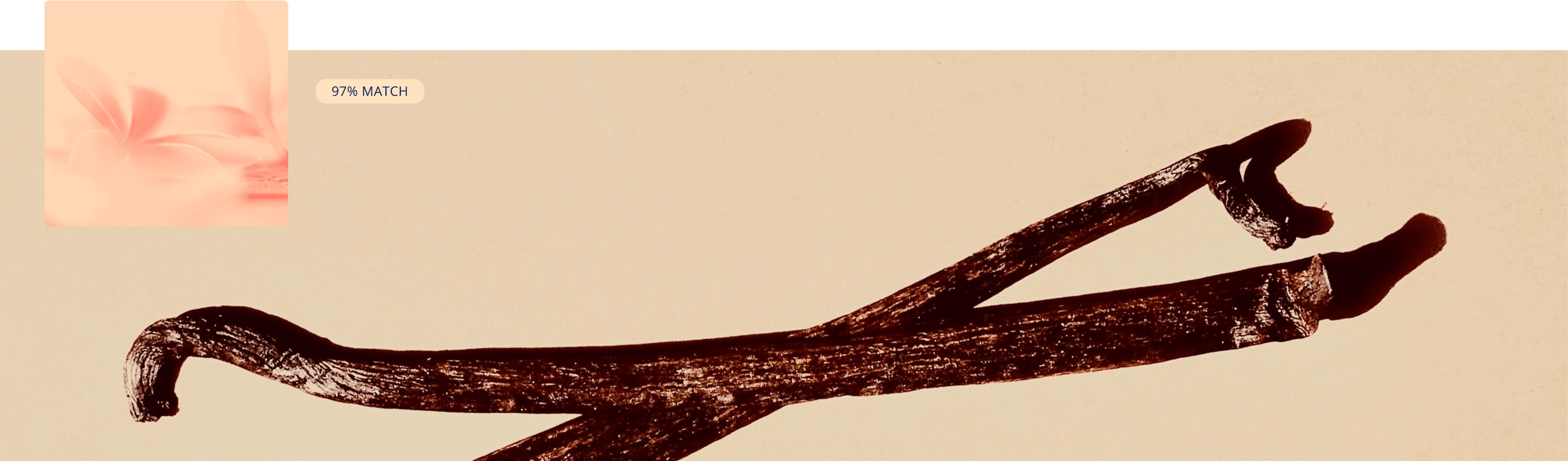 Vanilla collection cover